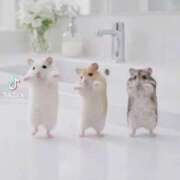 ヒメ日記 2026/04/13 16:15 投稿 まりな おいらん遊郭