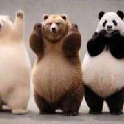 ヒメ日記 2026/04/15 10:08 投稿 まりな おいらん遊郭