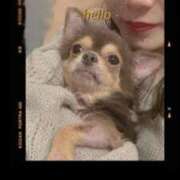 ヒメ日記 2026/03/21 05:56 投稿 サクラ リッチドールなんば店