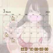 ヒメ日記 2026/03/13 08:16 投稿 みこ ぽっちゃり巨乳素人専門店ぷにめろ蒲田店