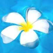 わかば 明日出勤です❤️ 熟女総本店 日本橋ミナミエリア店