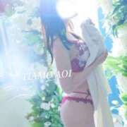 ヒメ日記 2026/03/02 19:22 投稿 奥山 あおい ☆4 TiAmo（ティアモ）