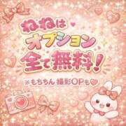 ヒメ日記 2026/02/24 10:58 投稿 ねね（初心のS級完全素人！ ハニービー（Honey Bee）