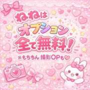 ヒメ日記 2026/02/25 10:53 投稿 ねね（初心のS級完全素人！ ハニービー（Honey Bee）