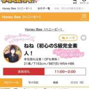 ねね（初心のS級完全素人！ スタートから待機無しで完売ありがとう💞🈵 ハニービー（Honey Bee）