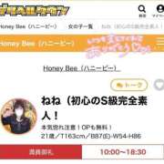 ヒメ日記 2026/02/27 20:49 投稿 ねね（初心のS級完全素人！ ハニービー（Honey Bee）