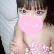 ヒメ日記 2026/03/07 20:43 投稿 ねね（初心のS級完全素人！ ハニービー（Honey Bee）