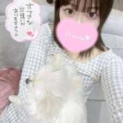 ヒメ日記 2026/03/08 11:53 投稿 ねね（初心のS級完全素人！ ハニービー（Honey Bee）