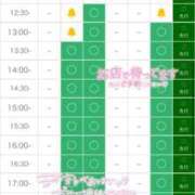 ヒメ日記 2026/03/09 02:53 投稿 ねね（初心のS級完全素人！ ハニービー（Honey Bee）