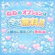 ヒメ日記 2026/03/09 10:25 投稿 ねね（初心のS級完全素人！ ハニービー（Honey Bee）