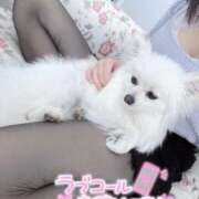 ヒメ日記 2026/03/09 11:33 投稿 ねね（初心のS級完全素人！ ハニービー（Honey Bee）