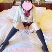 ヒメ日記 2026/03/10 10:33 投稿 ねね（初心のS級完全素人！ ハニービー（Honey Bee）