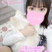 ヒメ日記 2026/03/11 11:13 投稿 ねね（初心のS級完全素人！ ハニービー（Honey Bee）