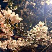 ヒメ日記 2026/03/30 16:06 投稿 みつき 渋谷 風俗 奥様発情の会