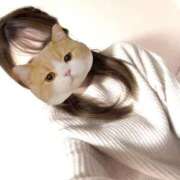 ヒメ日記 2026/02/26 19:16 投稿 もも 足利スチームバスセンター