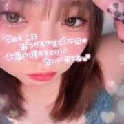 ヒメ日記 2026/03/25 17:22 投稿 のあ ちゃんこ藤沢茅ヶ崎店