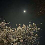 ヒメ日記 2026/04/01 01:12 投稿 のあ ちゃんこ藤沢茅ヶ崎店