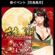 ヒメ日記 2026/03/26 21:00 投稿 あいこ ぷるるんマダム 難波店