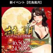 ヒメ日記 2026/03/26 21:15 投稿 あいこ ぷるるんマダム 難波店