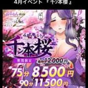ヒメ日記 2026/04/07 18:07 投稿 あいこ ぷるるんマダム 難波店