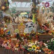 ヒメ日記 2026/09/02 22:05 投稿 あいこ ぷるるんマダム 難波店
