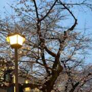 ヒメ日記 2026/03/29 10:10 投稿 れいあ 三つ乱本館