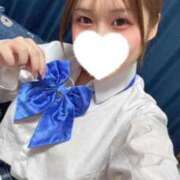 ヒメ日記 2026/03/08 07:32 投稿 こむぎ【プラチナアロー】 Arrows 苫小牧・千歳店