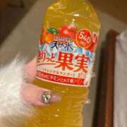 ヒメ日記 2026/03/12 08:58 投稿 こむぎ【プラチナアロー】 Arrows 苫小牧・千歳店