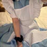 ヒメ日記 2026/03/14 06:08 投稿 こむぎ【プラチナアロー】 Arrows 苫小牧・千歳店