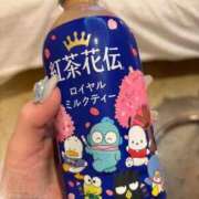 ヒメ日記 2026/03/21 17:28 投稿 こむぎ【プラチナアロー】 Arrows 苫小牧・千歳店