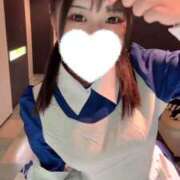 ヒメ日記 2026/04/17 10:59 投稿 こむぎ【プラチナアロー】 Arrows 苫小牧・千歳店
