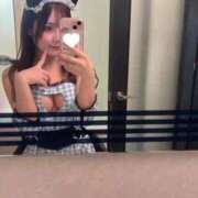 ヒメ日記 2026/04/22 08:18 投稿 こむぎ【プラチナアロー】 Arrows 苫小牧・千歳店