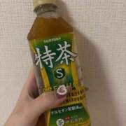 ヒメ日記 2026/06/12 02:08 投稿 こむぎ【プラチナアロー】 Arrows 苫小牧・千歳店