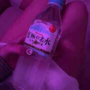 ヒメ日記 2026/06/23 07:18 投稿 こむぎ【プラチナアロー】 Arrows 苫小牧・千歳店