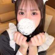 ヒメ日記 2026/07/21 11:48 投稿 こむぎ【プラチナアロー】 Arrows 苫小牧・千歳店