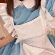 ヒメ日記 2026/08/22 09:48 投稿 こむぎ【プラチナアロー】 Arrows 苫小牧・千歳店