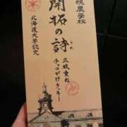 ヒメ日記 2026/08/28 07:48 投稿 こむぎ【プラチナアロー】 Arrows 苫小牧・千歳店