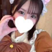 ヒメ日記 2026/09/09 02:28 投稿 こむぎ【プラチナアロー】 Arrows 苫小牧・千歳店