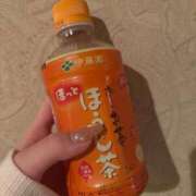 ヒメ日記 2026/09/10 15:18 投稿 こむぎ【プラチナアロー】 Arrows 苫小牧・千歳店