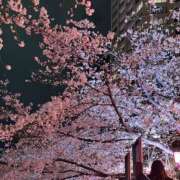 ヒメ日記 2026/04/03 18:12 投稿 あかり Spa Allure（スパアリュール）