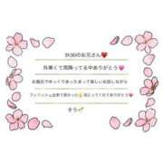 ヒメ日記 2026/03/07 01:39 投稿 そう☆NEW Blue Moon