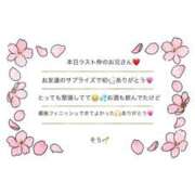 ヒメ日記 2026/03/08 03:09 投稿 そう☆NEW Blue Moon