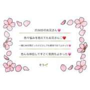 ヒメ日記 2026/03/09 01:39 投稿 そう☆NEW Blue Moon