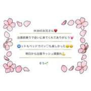 ヒメ日記 2026/03/09 01:59 投稿 そう☆NEW Blue Moon