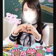 ヒメ日記 2026/03/14 13:21 投稿 うみ 桜色学園