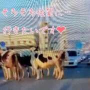 ヒメ日記 2026/03/10 08:13 投稿 井川はつみ(いがわ はつみ) 桃色奥様(佐賀)