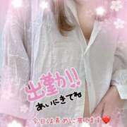 ヒメ日記 2026/03/24 08:15 投稿 楓 五反田人妻城