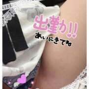 ヒメ日記 2026/04/02 09:09 投稿 楓 五反田人妻城