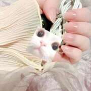 ヒメ日記 2026/03/13 09:49 投稿 せりな 白いぽっちゃりさん五反田店