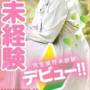 ヒメ日記 2026/02/23 11:43 投稿 るりか 京都BOOK MARK（ブックマーク）